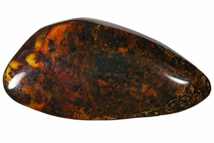 Polished Chiapas Amber ( g) - Mexico #114943